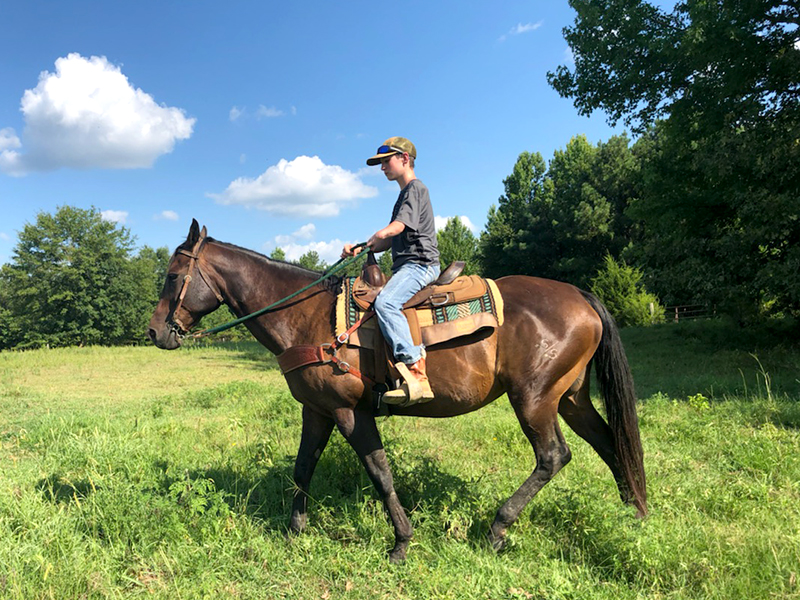 Hunter Lindsay and horse